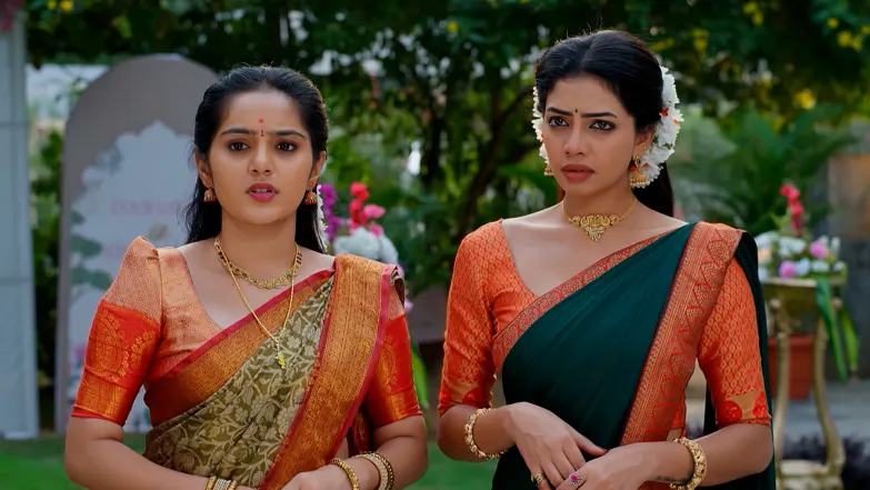 Darshan and Sharanya's Engagement Episode 47