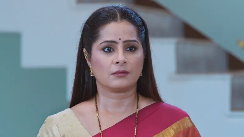 Savalyachi Janu Savali - May 23, 2025 - Episode Spoiler