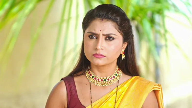 Paaru - May 24, 2025 - Episode Spoiler