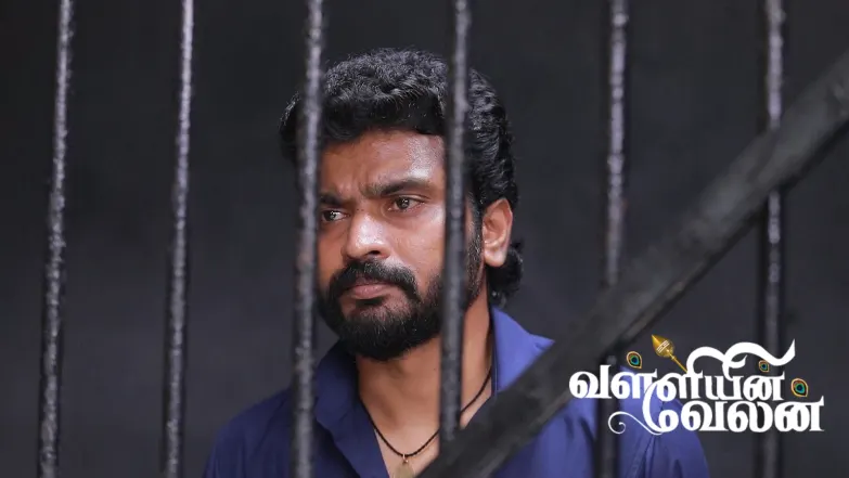 Vedhanayagi Frames Velan Episode 210