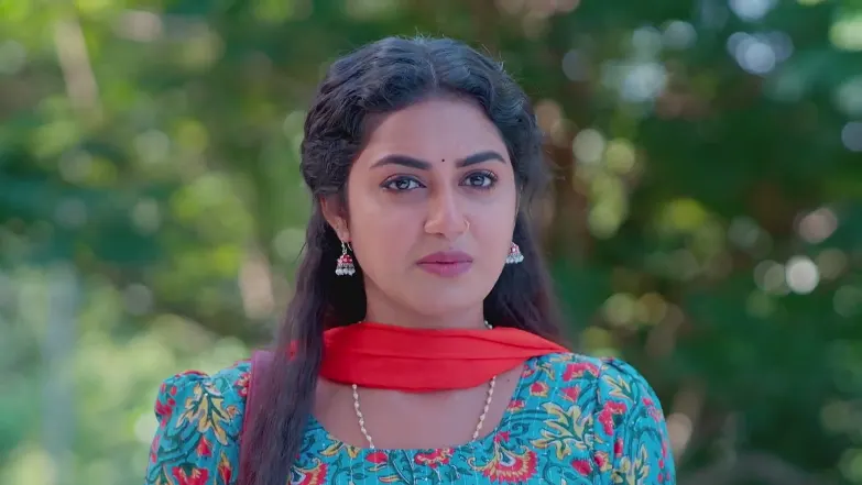 Snehapoorvam Shyama - May 20, 2025 - Webisode 20th May 2025 Webisode
