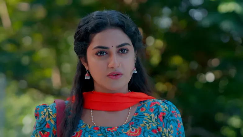 Snehapoorvam Shyama - May 20, 2025 - Episode Spoiler