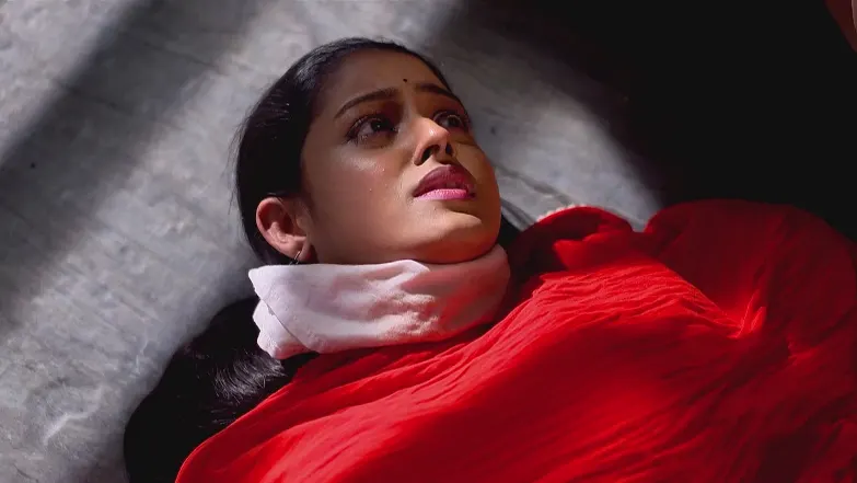 Parineeta - May 31, 2025 - Best Scene 