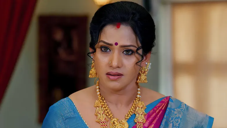 Vinay Realises that Vidya Is Alive Episode 16