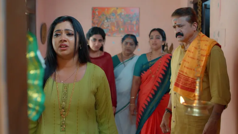Snehapoorvam Shyama - May 29, 2025 - Episode Spoiler