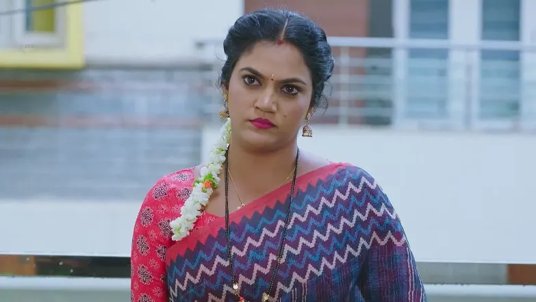 Malli's Warning Scares Diya - Amruthadhaare 