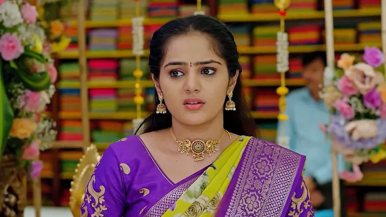 Will Ananda Bhairavi's Act Get Exposed? Episode 51