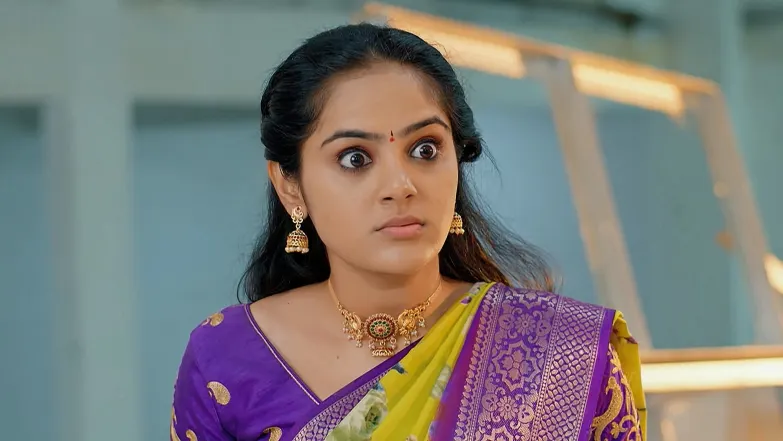 Ananda Bhairavi Is Bitten by a Scorpion Episode 52