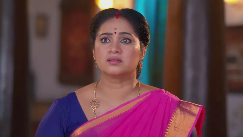 Sandhya Raagam - May 31, 2025 - Best Scene 