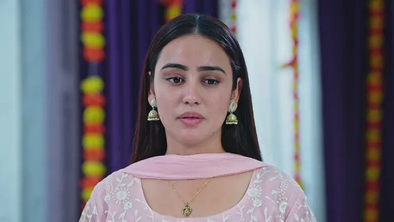 Kalyani Marries Nihal 29th May 2025 Webisode