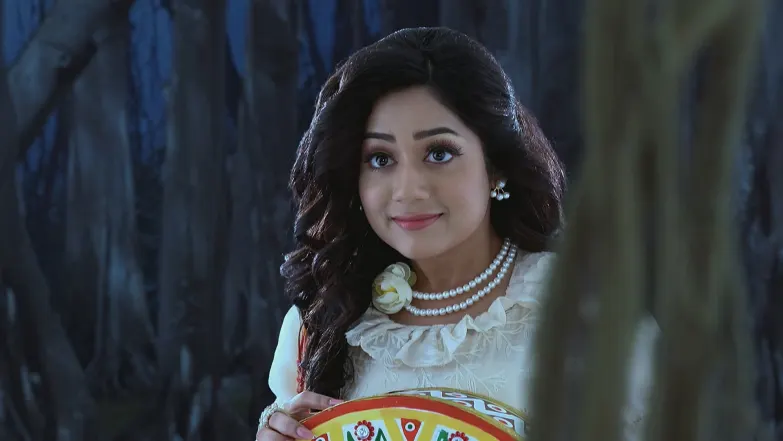 Mallika Succeeds in Holding Raghav Captive Episode 81
