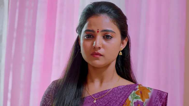 Will the Property Be Registered to Fanindra? Episode 23