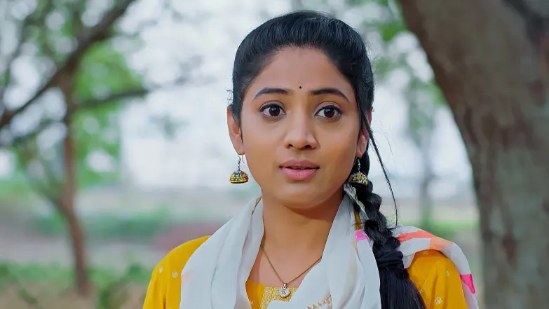 Krishna Is Kidnapped Episode 25