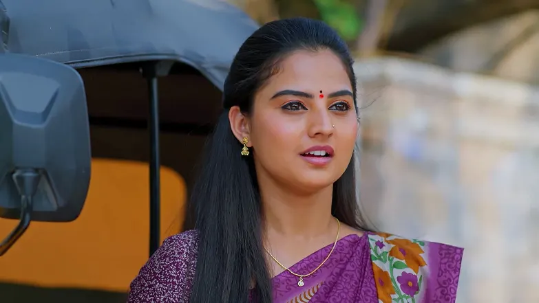 Radha's 'Mehendi' Ceremony Episode 24