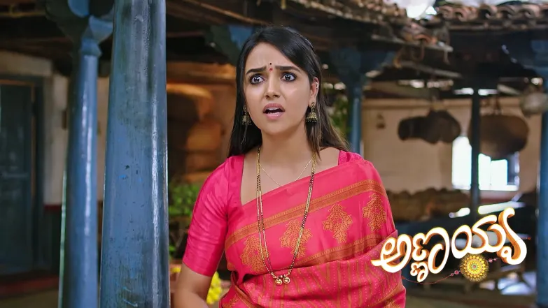 Annayya - June 06, 2025 Episode 215