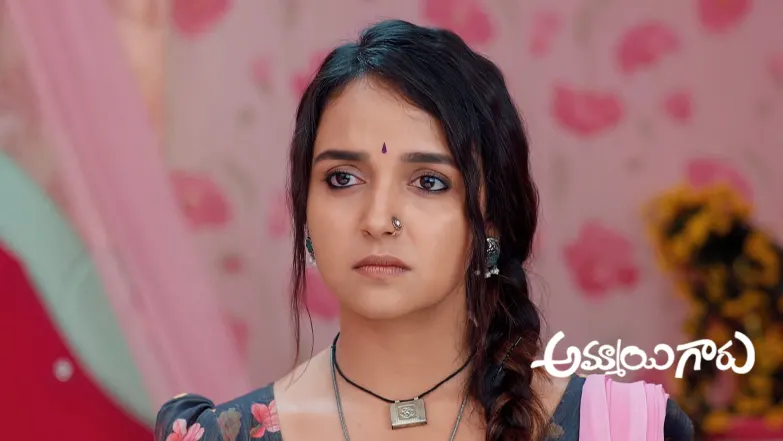 Anand Reveals that He Is Raghava’s Son Episode 801
