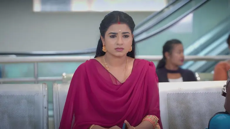 An Incident Baffles Revathi - Karthigai Deepam 