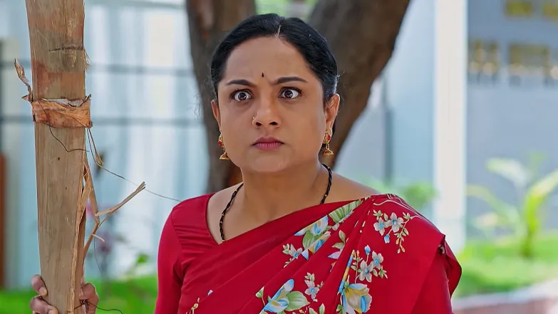 Annapoorna - June 11, 2025 - Episode Spoiler
