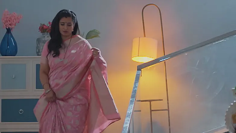 Meghasandesha - June 11, 2025 - Episode Spoiler