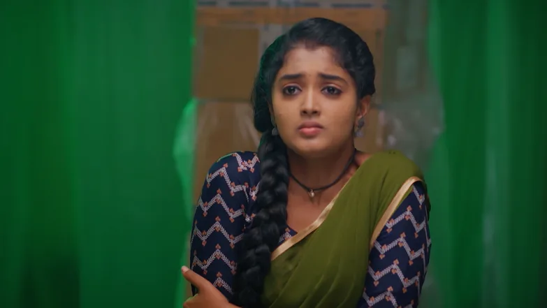 Meghasandesha - June 12, 2025 - Episode Spoiler