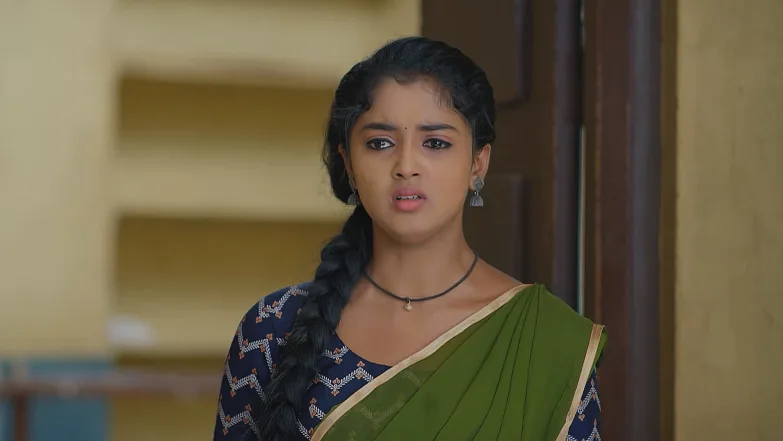 Meghasandesha - June 14, 2025 - Episode Spoiler