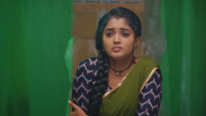 Meghasandesha - June 12, 2025 - Episode Spoiler