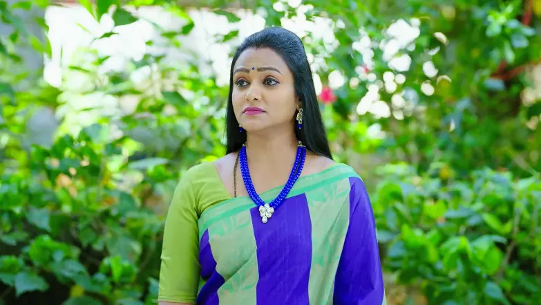 Amruthadhaare - June 13, 2025 - Episode Spoiler
