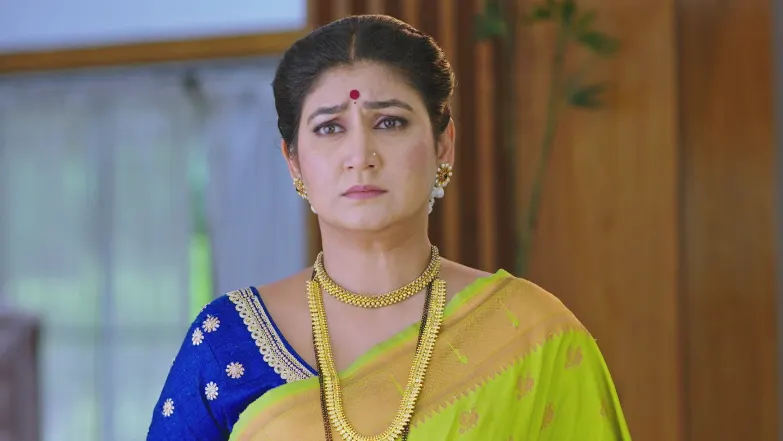 Paaru - June 19, 2025 - Episode Spoiler