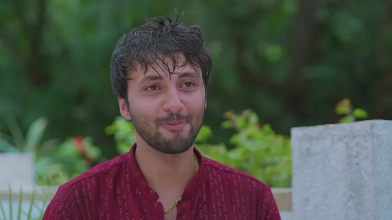 Lakshmi Niwas - June 17, 2025 - Episode Spoiler