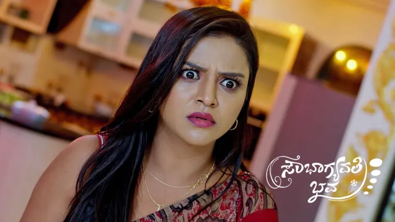Bhaskar's Revelation Shocks Mithra's Family Episode 534