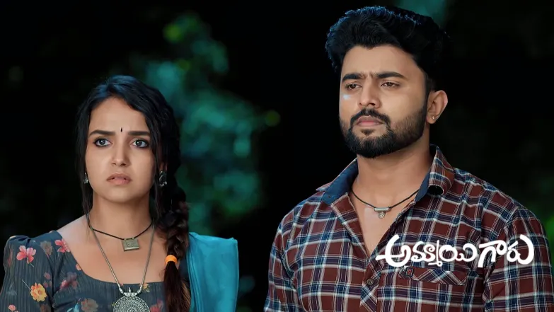 Raju and Anand to Track Raghava’s Location Episode 809