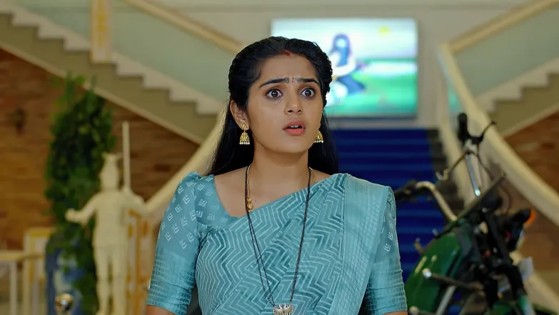 Ummadi Kutumbam - June 17, 2025 - Episode Spoiler