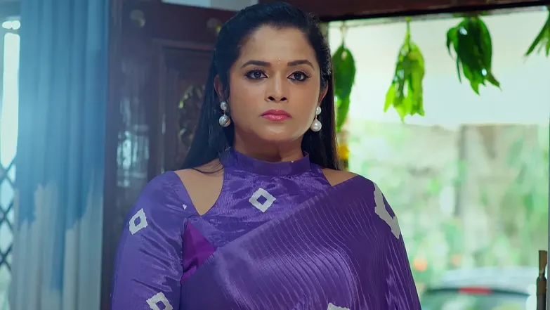 Nindu Noorella Saavasam - June 21, 2025 - Episode Spoiler