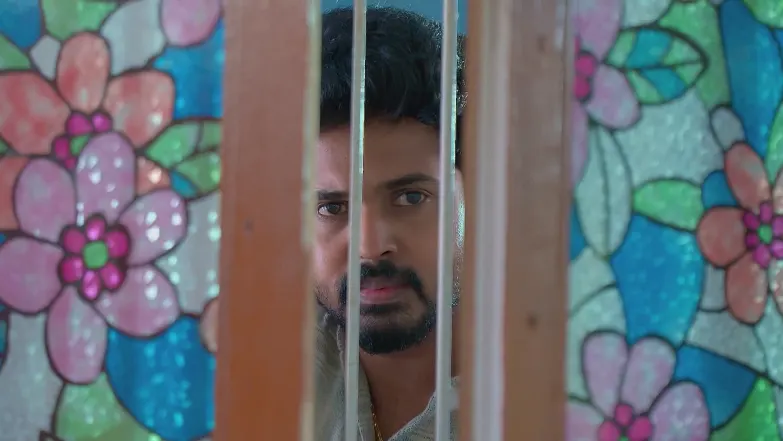 Sandhya Raagam - June 17, 2025 - Best Scene 