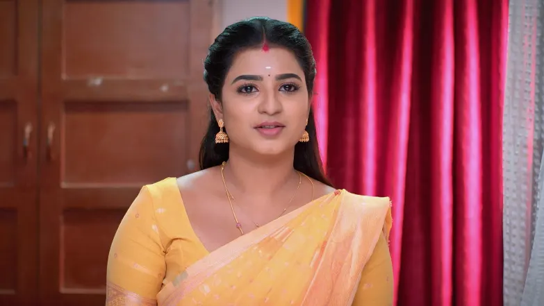 Karthigai Deepam - June 17, 2025 - Episode Spoiler