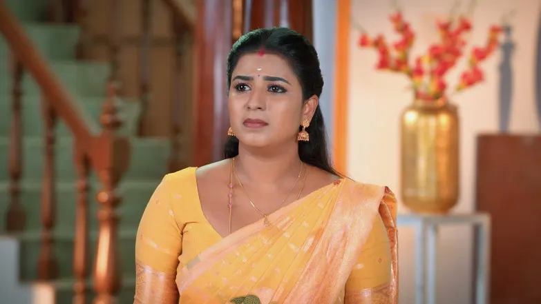 Karthigai Deepam - June 17, 2025 - Episode Spoiler