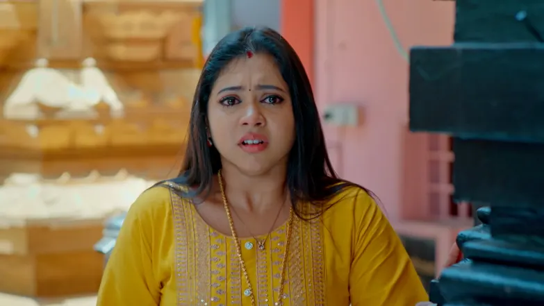Snehapoorvam Shyama - June 22, 2025 - Episode Spoiler