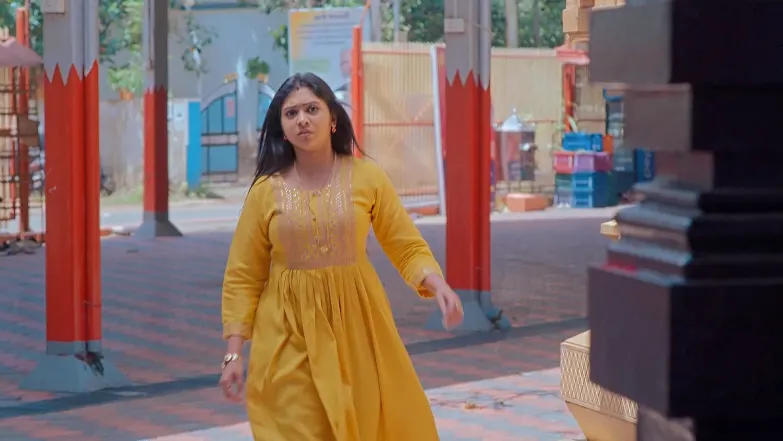Snehapoorvam Shyama - June 20, 2025 - Episode Spoiler