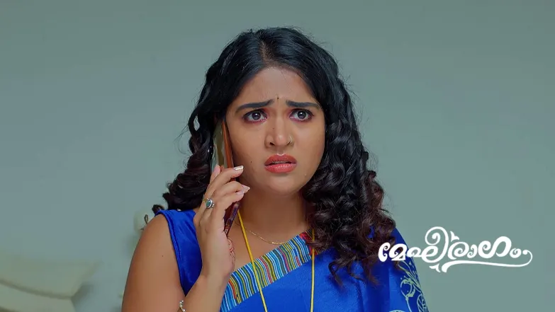 Mithun Declares His Love for Meghana Episode 693