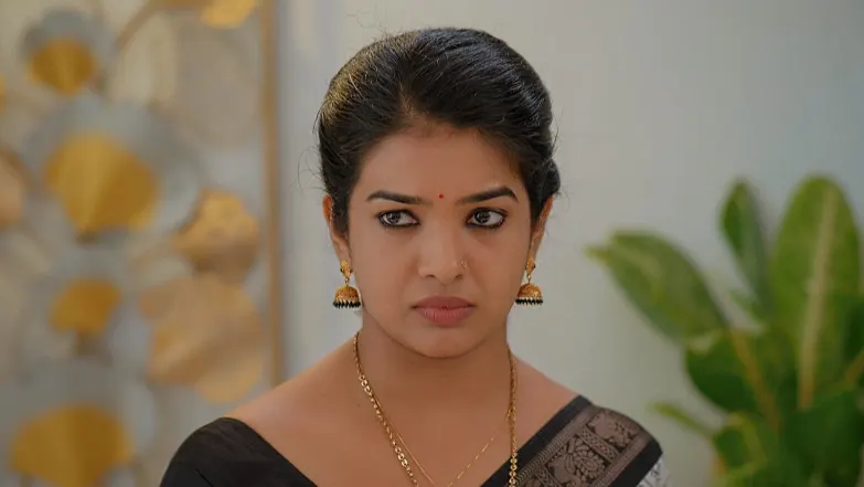 Manathe Kottaram - June 17, 2025 - Episode Spoiler