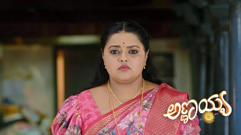 Annayya - June 17, 2025 Episode 223