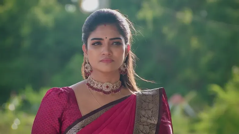 Karthigai Deepam - June 19, 2025 - Best Scene 
