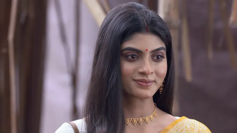 Parineeta - June 28, 2025 - Episode Spoiler