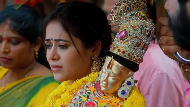 Kanishka Gets the Idol Stolen from Tulasi Episode 100