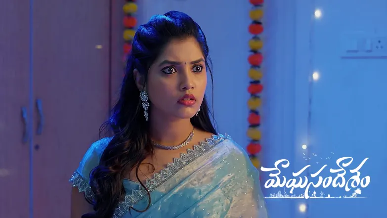 Meghasandesam - June 24, 2025 Episode 344