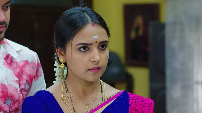 Geetha Govinda - June 29, 2025 - Episode Spoiler