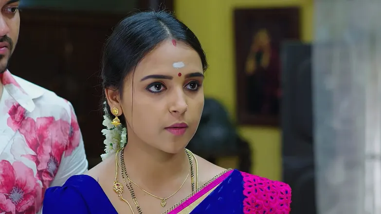 Geetha Govinda - June 29, 2025 - Episode Spoiler
