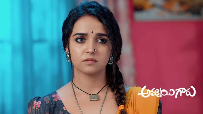 Raju and Rukmini Speak with Their Partners Episode 815