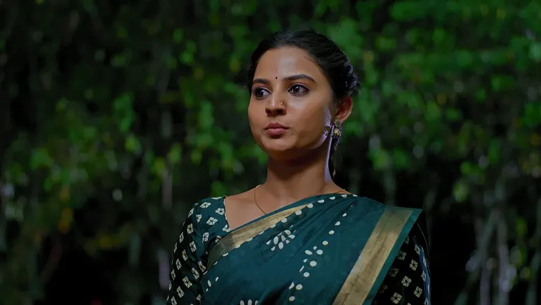 Hrudaya Geethe - June 26, 2025 - Episode Spoiler