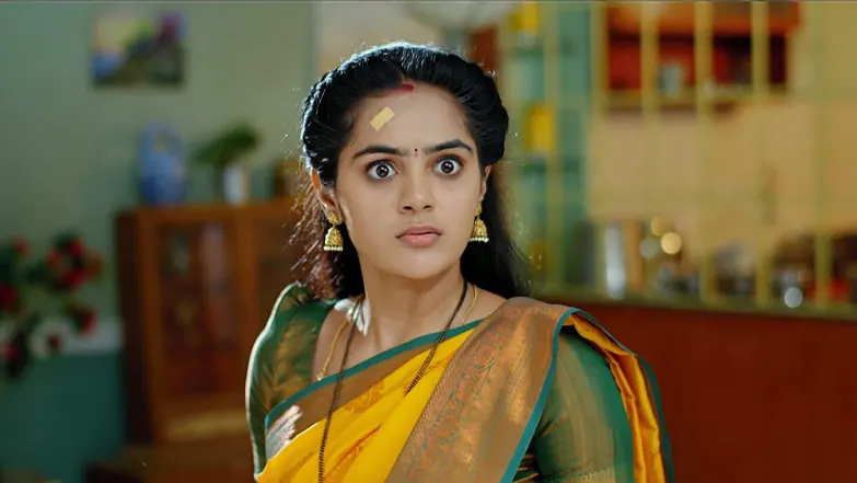 Ummadi Kutumbam - June 26, 2025 - Episode Spoiler